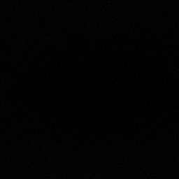 Alejandro  está buscando trabajo de camarero o camarera.